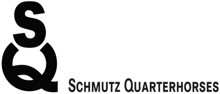 Willkommen bei Schmutz Quarterhorses / Daniel Schmutz